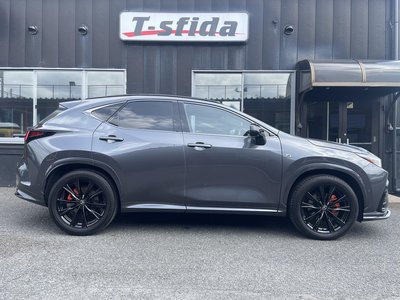 LEXUS NX - 6