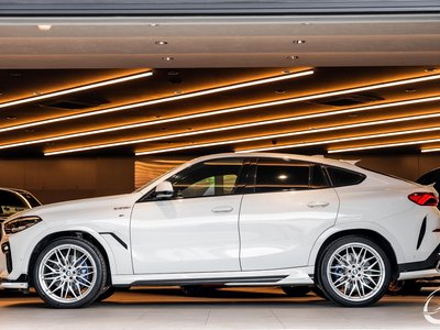 2020 BMW X6 缩略图 60
