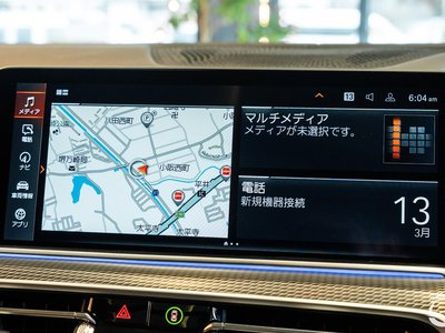 2020 BMW X6 缩略图 99