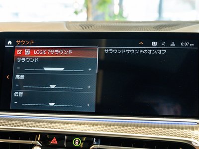 2020 BMW X6 缩略图 108