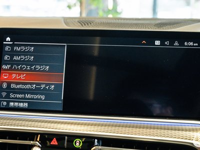 2020 BMW X6 缩略图 104