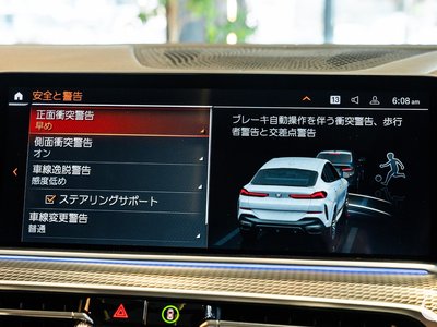 2020 BMW X6 缩略图 113