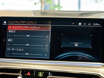 2020 BMW X6 缩略图 115