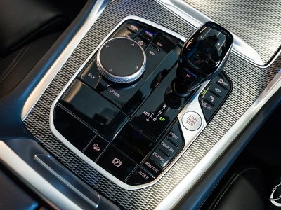 2020 BMW X6 缩略图 121
