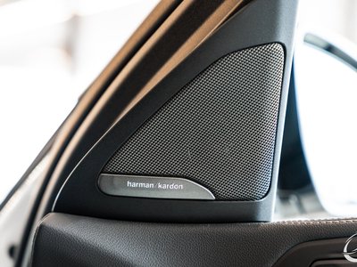 2020 BMW X6 缩略图 52
