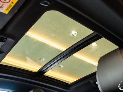 2020 BMW X6 缩略图 42
