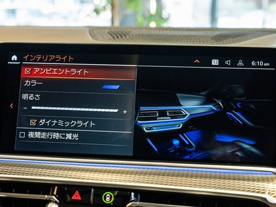 2020 BMW X6 缩略图 116