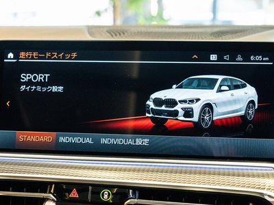 2020 BMW X6 缩略图 102