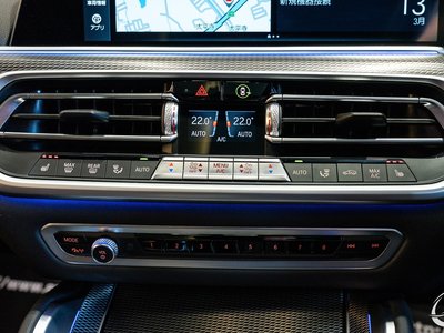 2020 BMW X6 缩略图 125