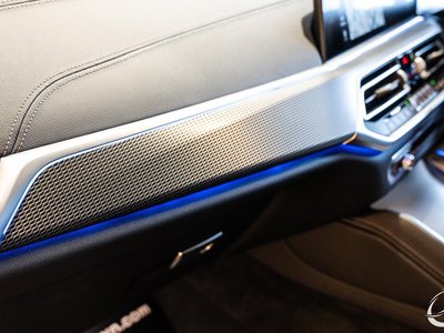 2020 BMW X6 缩略图 139