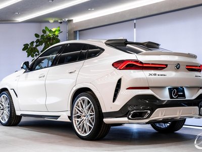 2020 BMW X6 缩略图 65