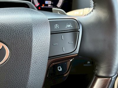 2024 TOYOTA ALPHARD 缩略图 27