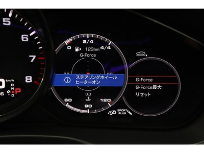 صورة مصغرة 42 لـ 2019 Porsche PANAMERA