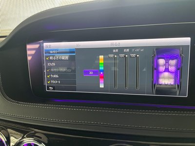 2019 Mercedes-BENZ S-CLASS 缩略图 63