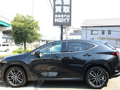 2023 Lexus NX 照片 7
