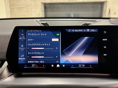 2025 BMW X2 thumbnail 77
