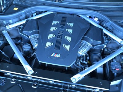 2024 BMW X7 缩略图 70