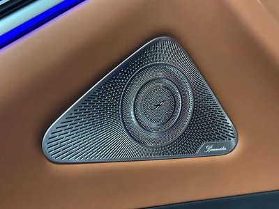 2021 Mercedes-BENZ S-CLASS 缩略图 14