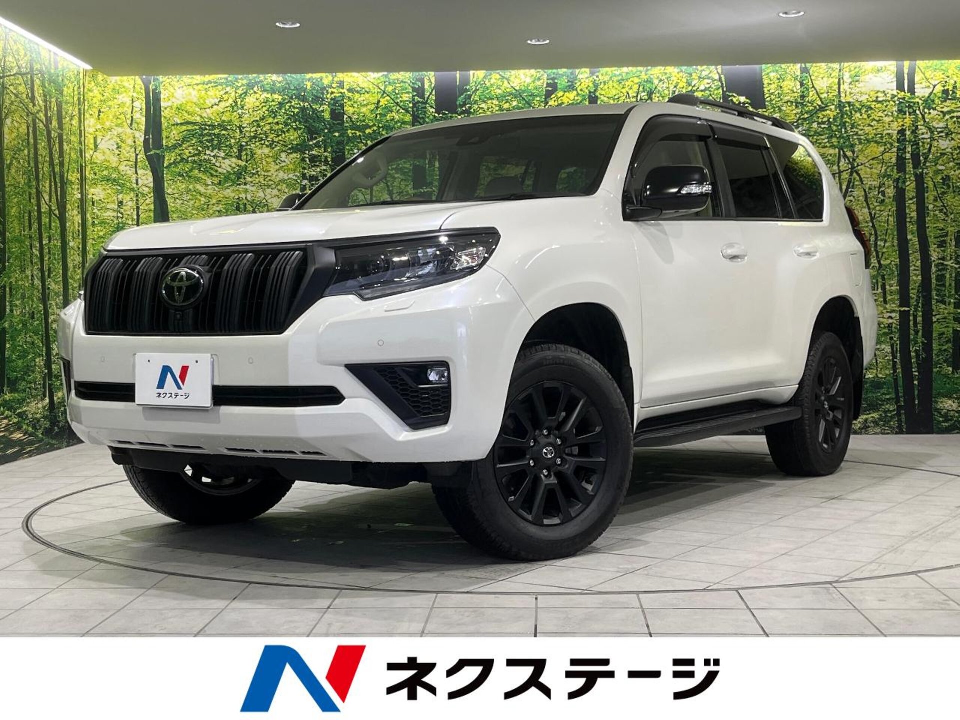 TOYOTA LAND CRUISER PRADO - View 1