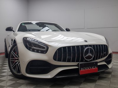 2019 Mercedes-BENZ GT AMG 缩略图 33