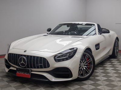 2019 Mercedes-BENZ GT AMG 照片 3