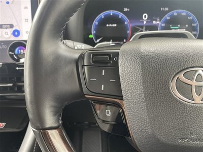 2025 Toyota ALPHARD thumbnail 19