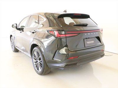 2024 Lexus NX 照片 4