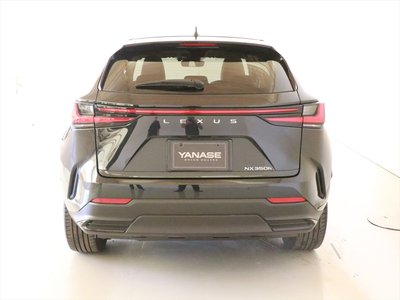 2024 Lexus NX 照片 3