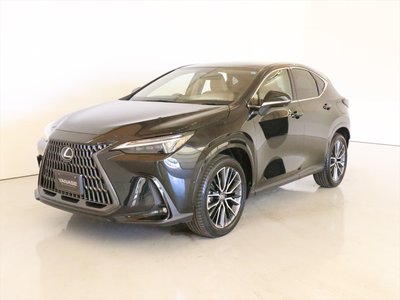 2024 Lexus NX 照片 1