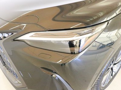 2024 Lexus NX 照片 8