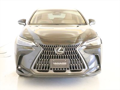2024 Lexus NX 照片 2
