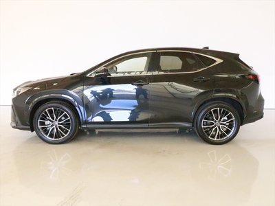 2024 Lexus NX 照片 5
