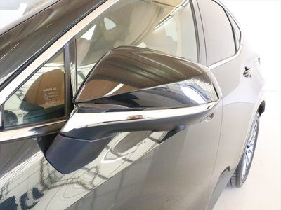 2024 Lexus NX 照片 7