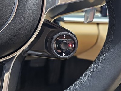 2018 Porsche PANAMERA 缩略图 32