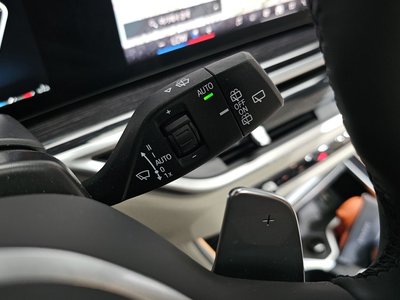 2025 BMW X5 缩略图 30