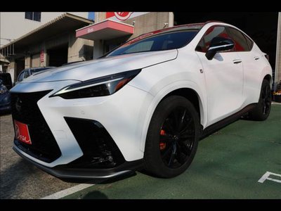 LEXUS NX - 10