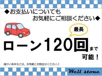 2024 TOYOTA ALPHARD 缩略图 52