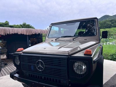 1989 Mercedes-BENZ G-CLASS — миниатюра 19