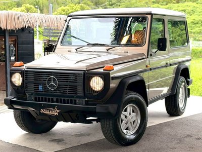 1989 Mercedes-BENZ G-CLASS — фото 1