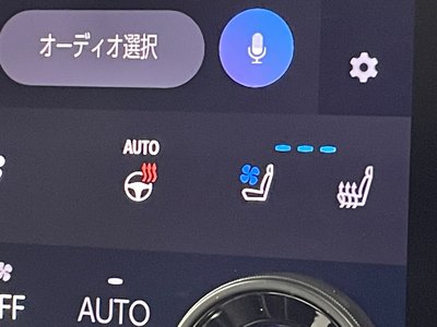 2023 TOYOTA ALPHARD photo 10