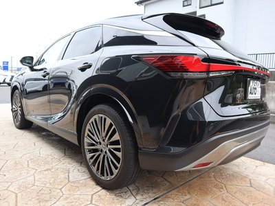 2024 Lexus RX — фото 5