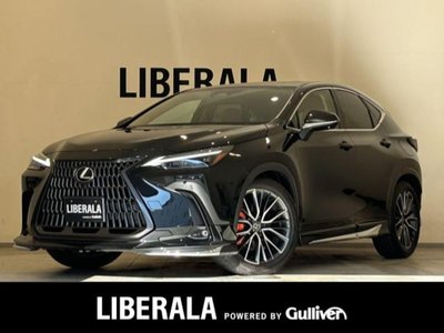 2023 Lexus NX 照片 1