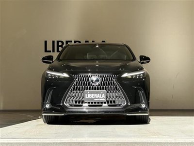 2023 Lexus NX — миниатюра 37