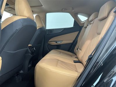 2023 Lexus NX — миниатюра 23