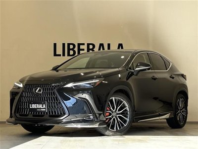 2023 Lexus NX — миниатюра 38