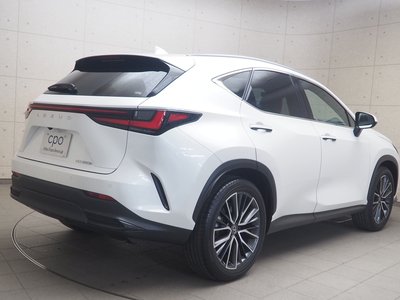 LEXUS NX - 6