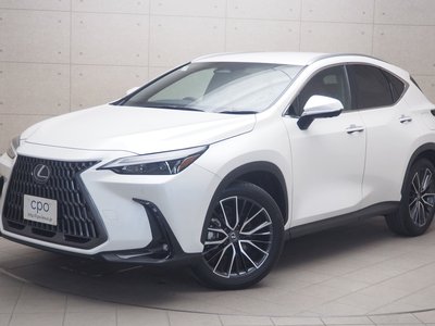 LEXUS NX - 1
