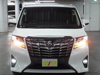 2017 Toyota ALPHARD 照片 9