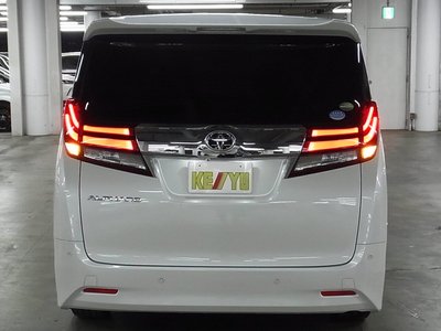 2017 Toyota ALPHARD 照片 10