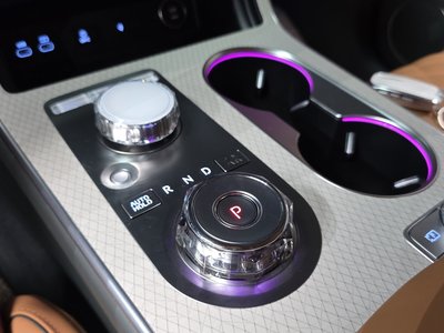 GENESIS GV80 - 9